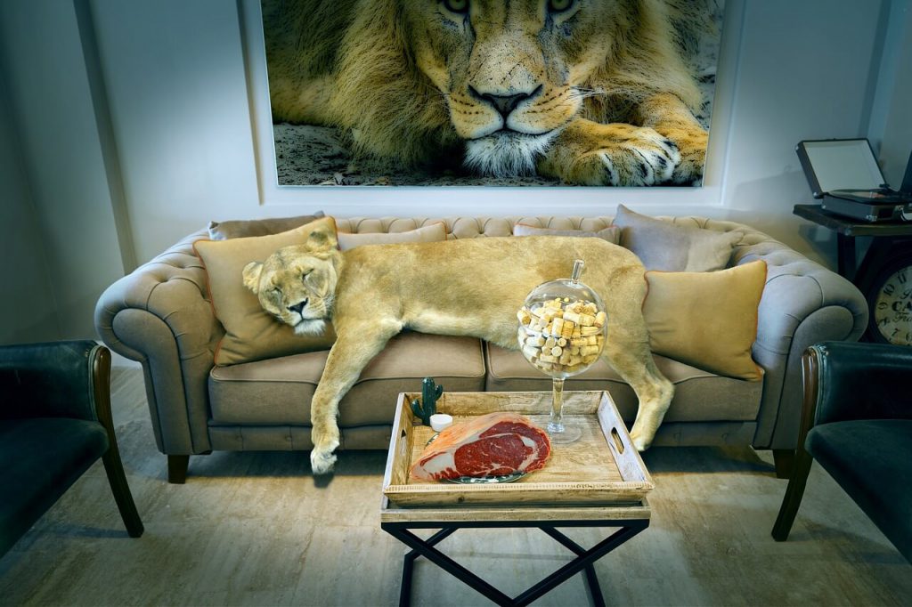 legowisko dla psa - śpiący lew